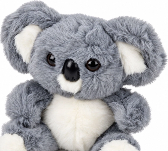 Adorable koala design