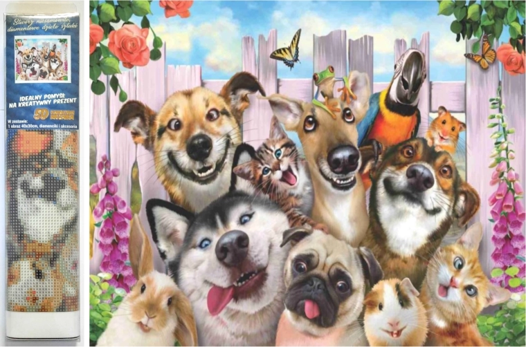 Dijamantno slikanje Luda selfie 30x40 cm