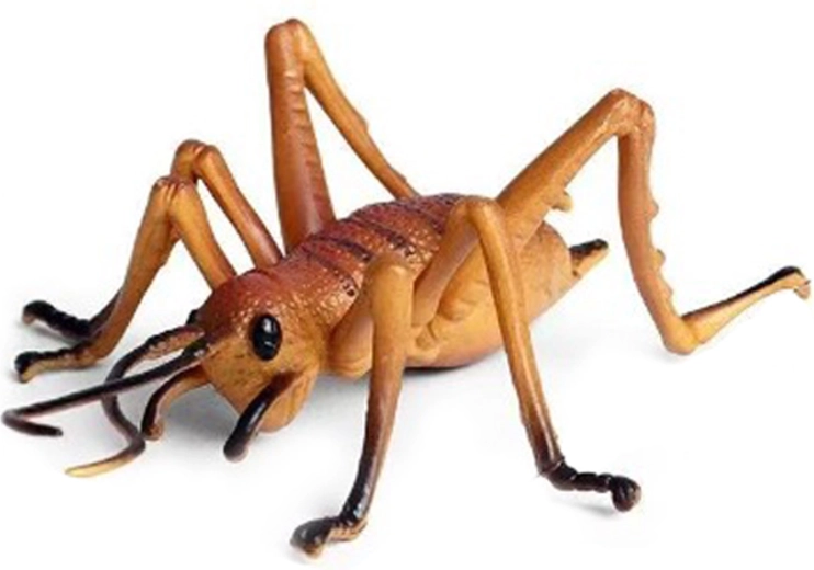 Plastic Cricket 10 cm