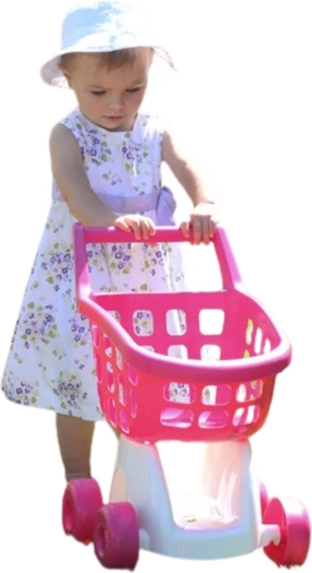 Shop play that teaches