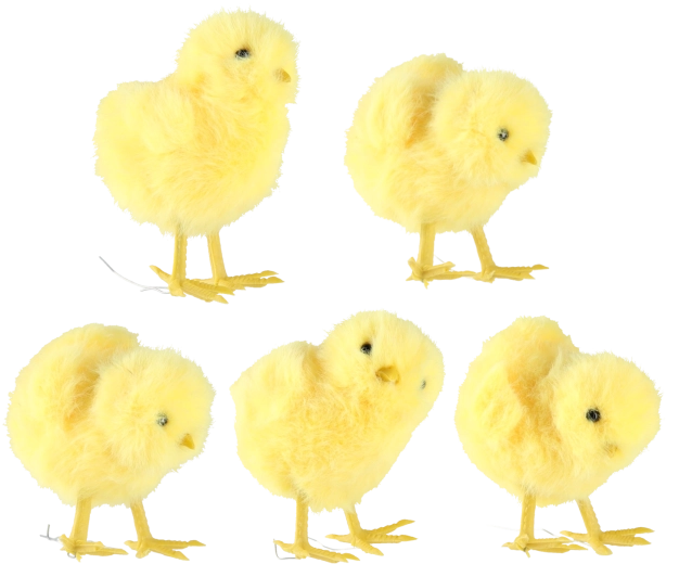 Set od 10 komada u 5 dizajna