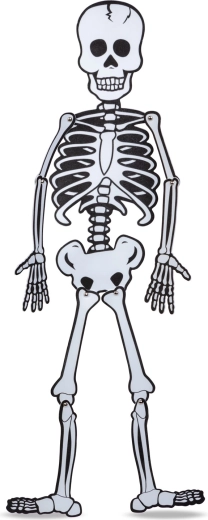Flexible limbs