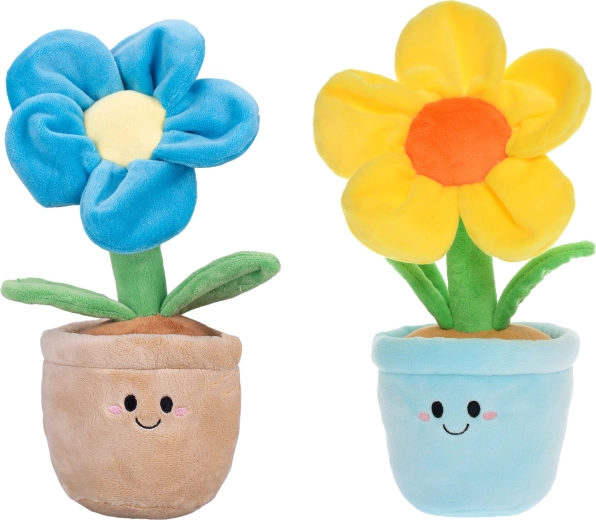 Vesele boje i slatki dizajn