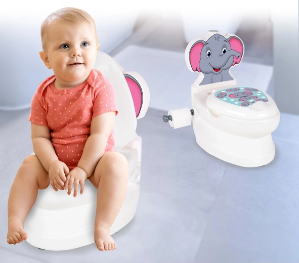 Flush sound and LED light