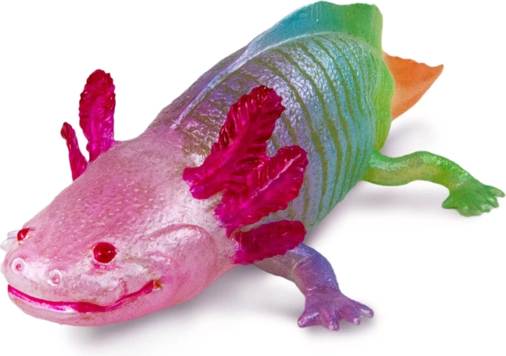 Fantastic rainbow coloring and realistic details