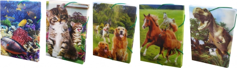 Kutija za bilježnice A5 s gumicom 3D mix