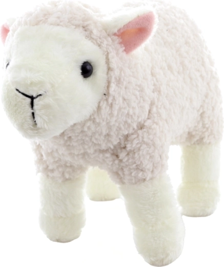 Lagana i kompaktna za dom i putovanja