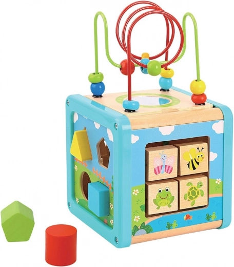 Babu Wooden Maze Cube