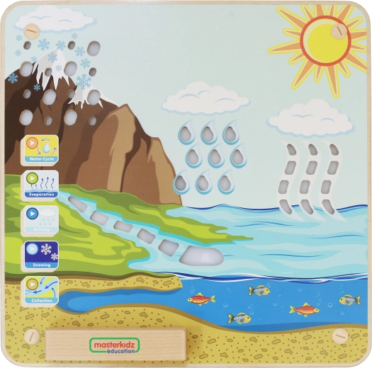 Clear explanation of the water cycle