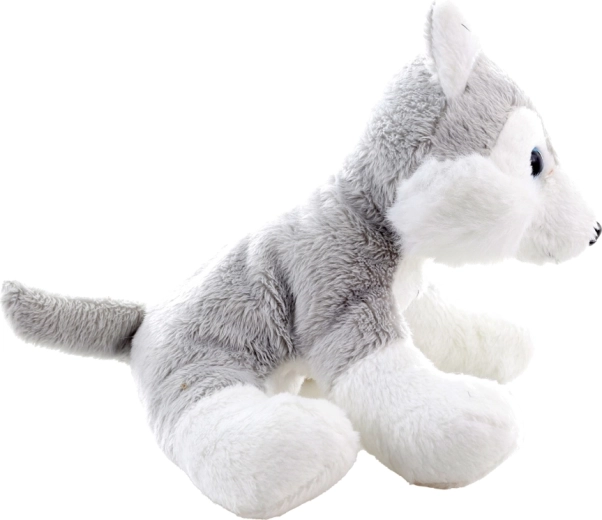 Sigurno za najmlađe