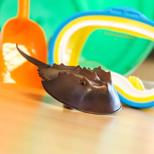 Learning through play about the marine world