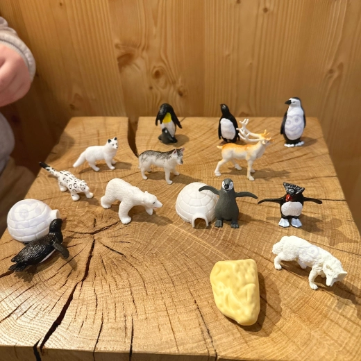 A game full of imagination and discovery