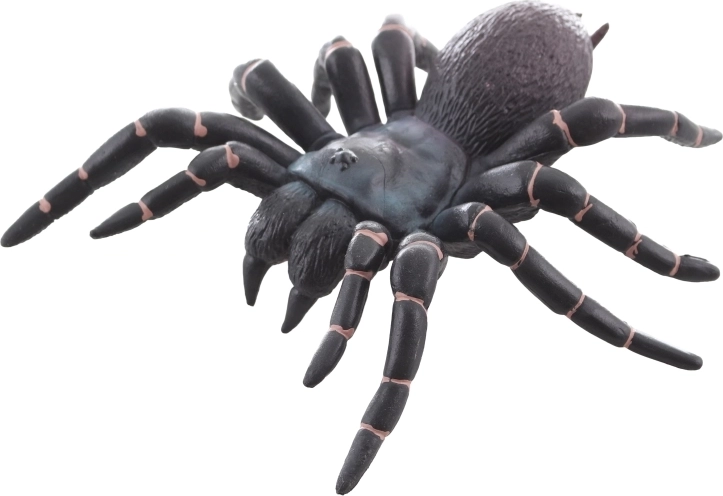 Idealno za učenje i dekoraciju