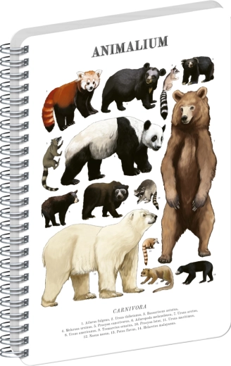 Notique spiralni blok Animalium – medvjedi (Ursidae), čisti, A4