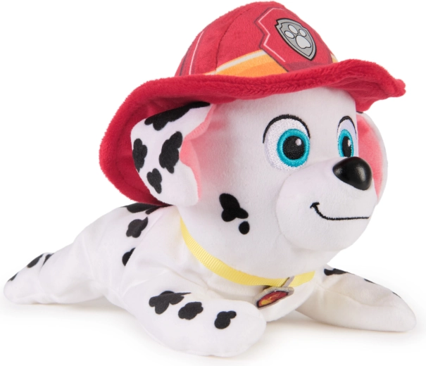Vjerni vatrogasni izgled iz Paw Patrol