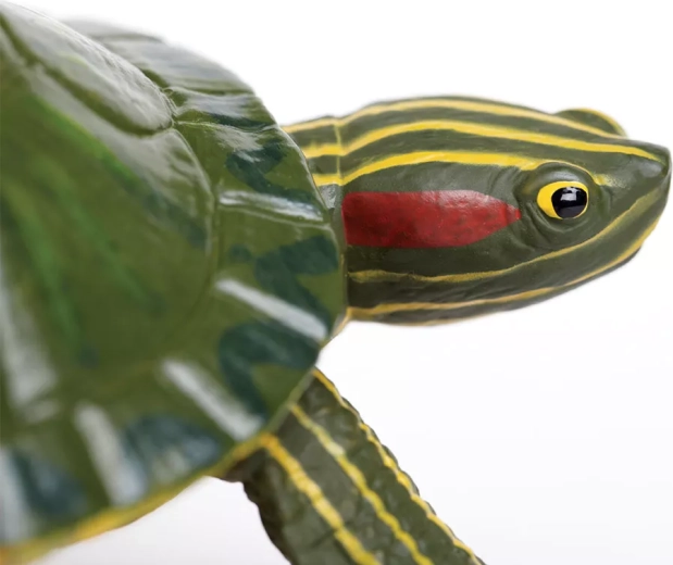 Safe and non-toxic toy