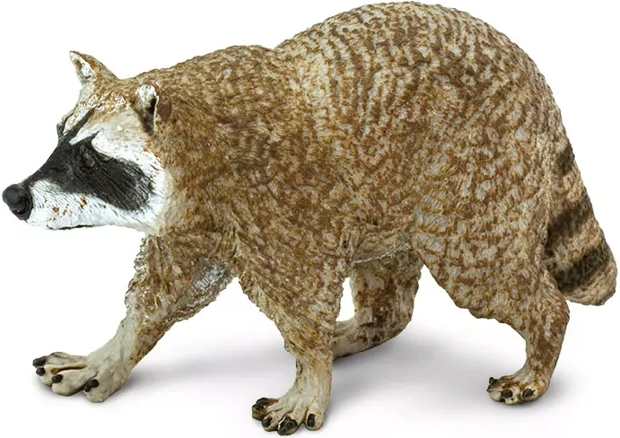 Figura sjevernog rakuna Safari Ltd.