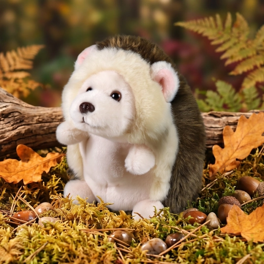 A small companion for every day