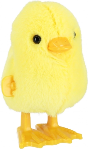 Hoda nakon navijanja