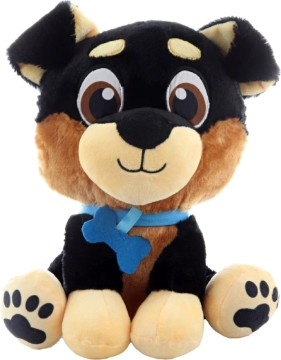 Sigurni vezeni detalji