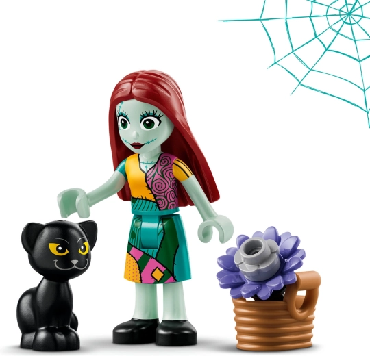 Sally and her black cat