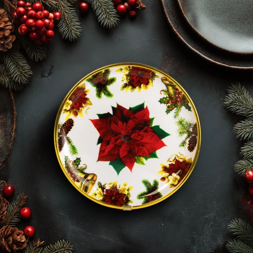 Lightweight and sturdy plastic plate