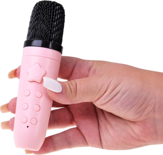 Karaoke microphone with controls and voice changer