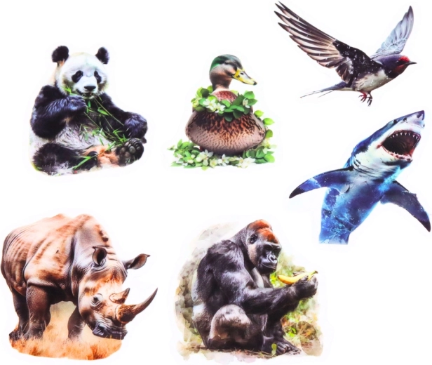 Prozirna pozadina za čist izgled