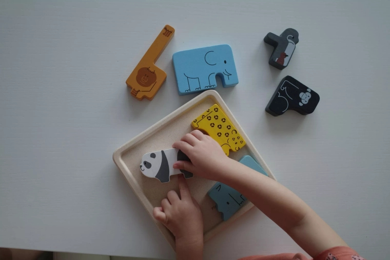 Placing animals into the correct cut-outs