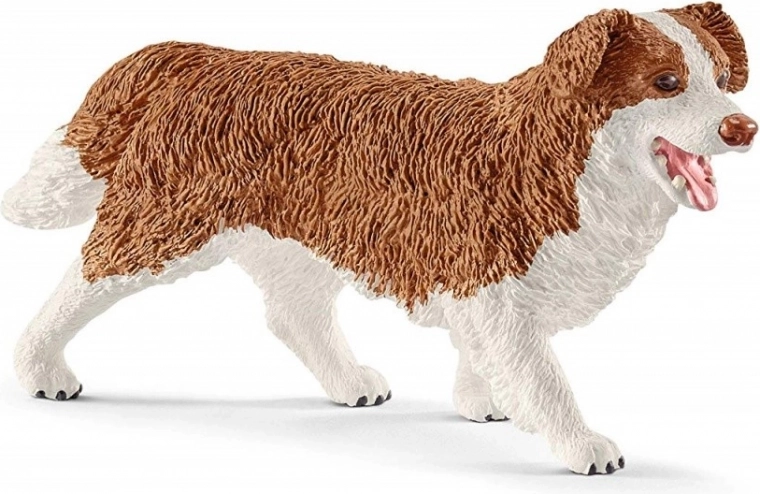 Briga o ljubimcima s kujicom Ruby