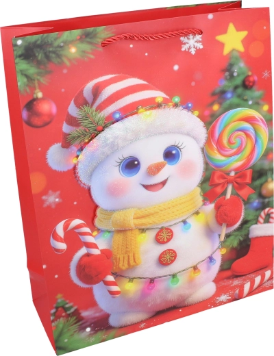Cute winter design