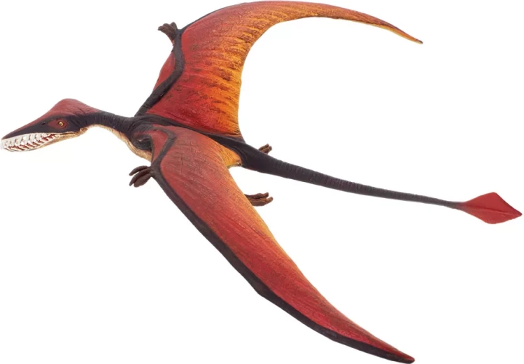 Safari Ltd. ramphorhynchus - 1 komad