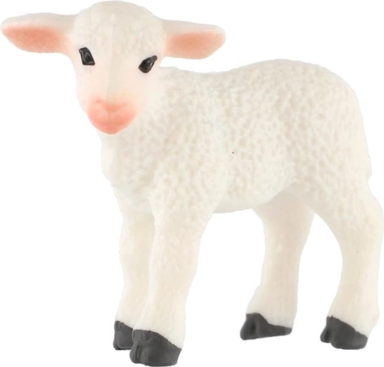 Realistic lamb design