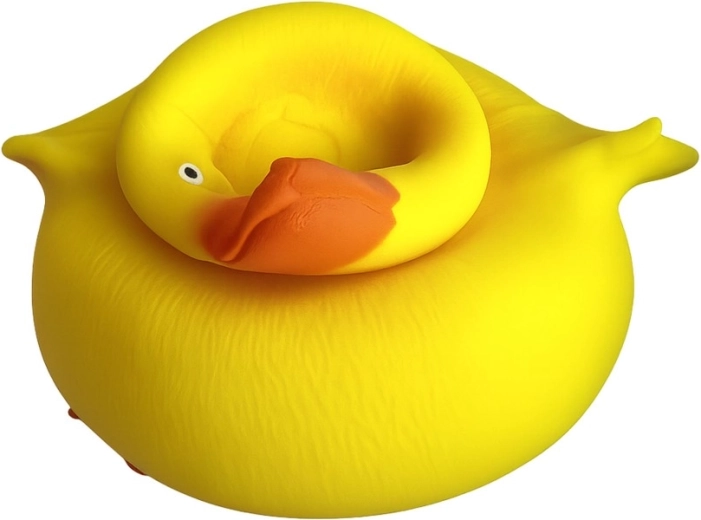 Živopisna boja i razigran dizajn