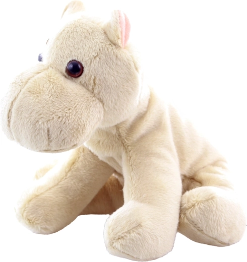 Stabilno sjedenje zahvaljujući kuglicama