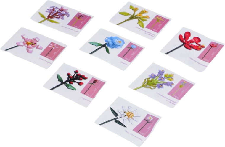 Korak po korak za svaki cvijet