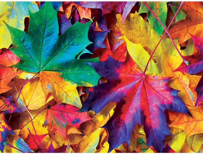 Masterpieces puzzle Šarena jesen 550 dijelova