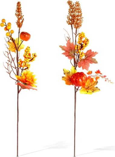 Autumn colors and natural appearance