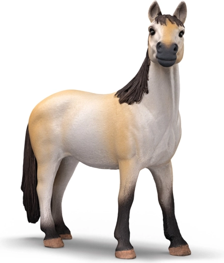 Prekrasna kobila mustanga