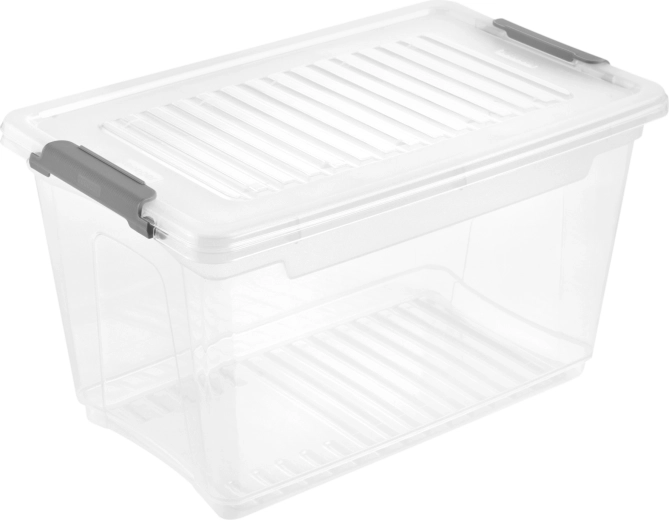 Plastična kutija za pohranu s poklopcem Leonie 5,4 l