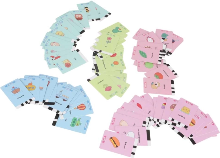 Bogati set od 100 edukativnih kartica