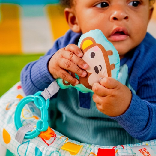 Toys for sensory discovery