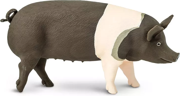 Figurica svinje Hampshire Safari Ltd. - 1 komad