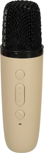 Microphone with voice effects