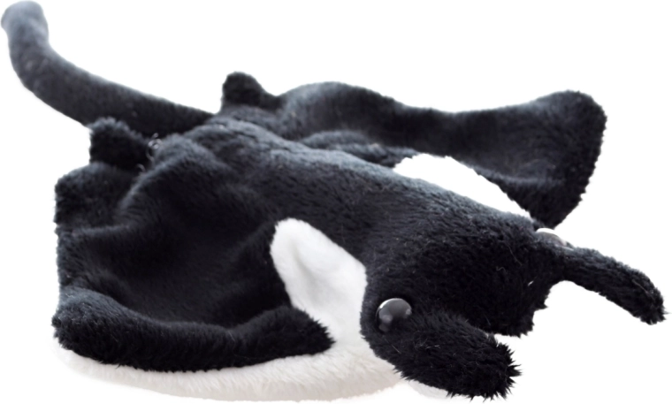 Realističan oblik manta raže