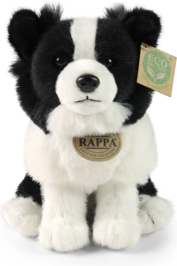 Realistični detalji border kolije