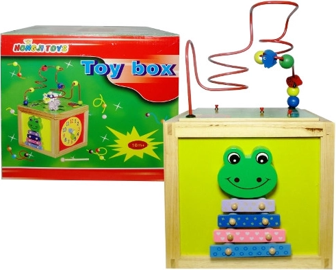 Wooden Educational Maze for Children