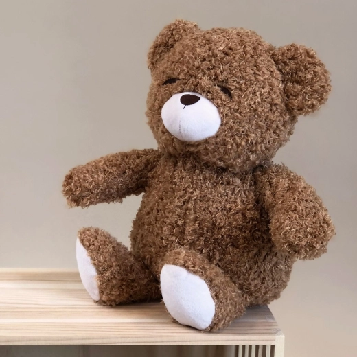 Soft companion for cuddling