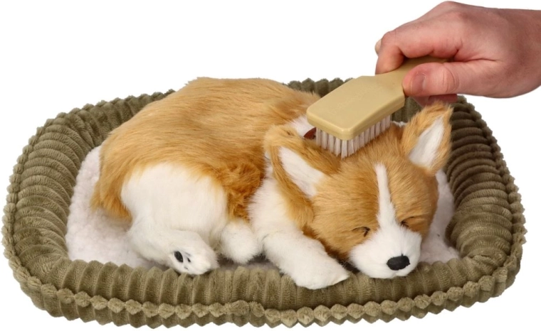 Care like a real dog