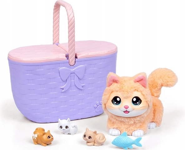 Surprise: 3 kittens in the basket